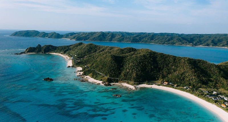 Photo Credit Ippei & Janine Naoi Photo Credit Ippei & Janine Naoi